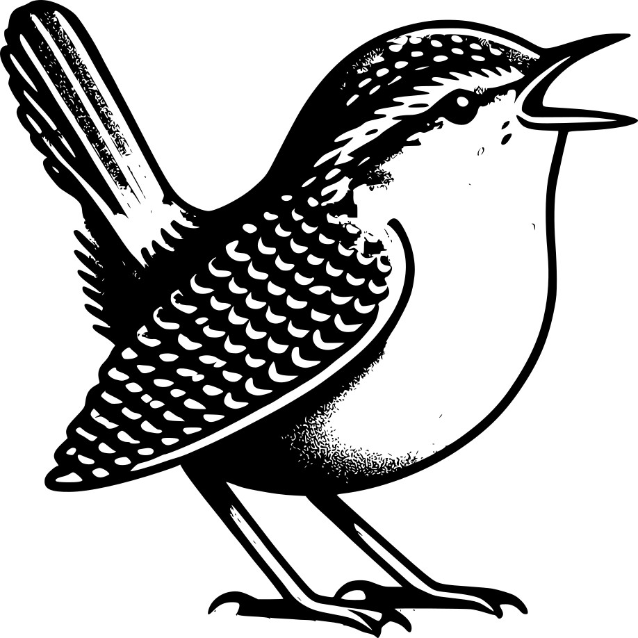 Wren Nature Tours