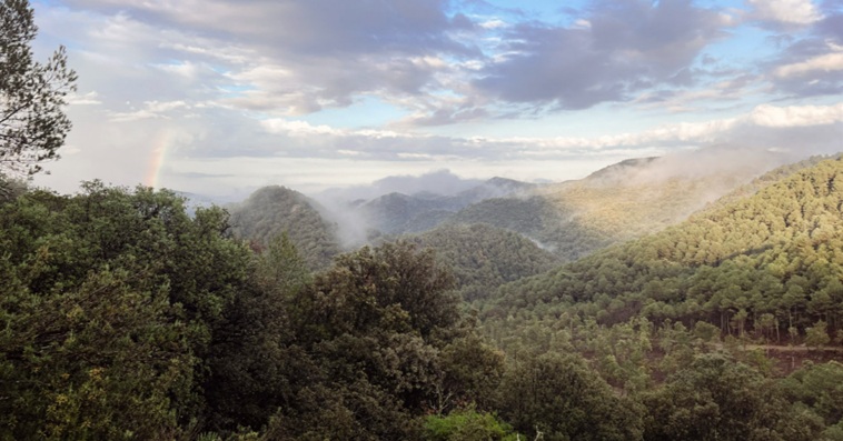 Alta Garrotxa landscape